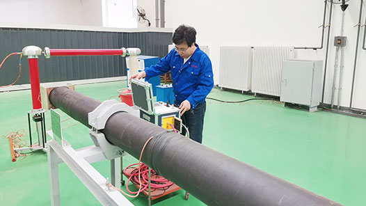 【愛在城市】“楊柳青青”愛企情