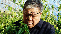 【2020勞動者之歌】關慧明：把科研做在田間地頭