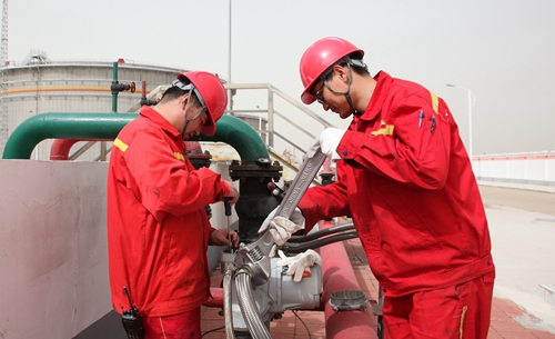 【“五小”創新有我在】激活“小細胞” 煥發大能量