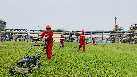 【“五小”創新有我在】自制“神器”扮靚廠站