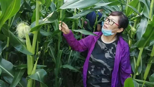 【愛在城市】冷玲：為鄉親辦實事的“土專家”