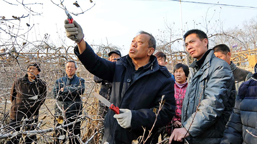 勞動者之歌 | 李保國山區開發與林果產業創新團隊