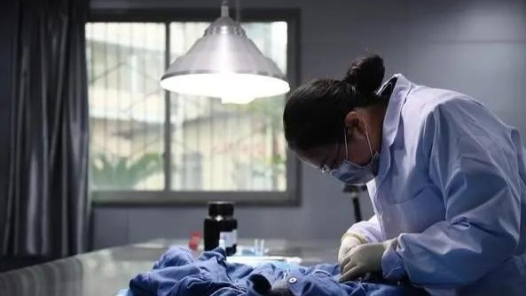 最美職工 | 楊發英