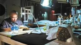 中國夢·大國工匠篇 | 文物修復師馬宇：懷敬畏之心 讓秦俑重現千年風采