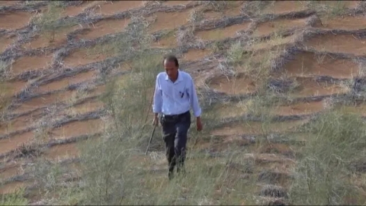 中國夢·大國工匠篇｜“沙漠守望者”唐希明：將漫漫黃沙變為綠洲