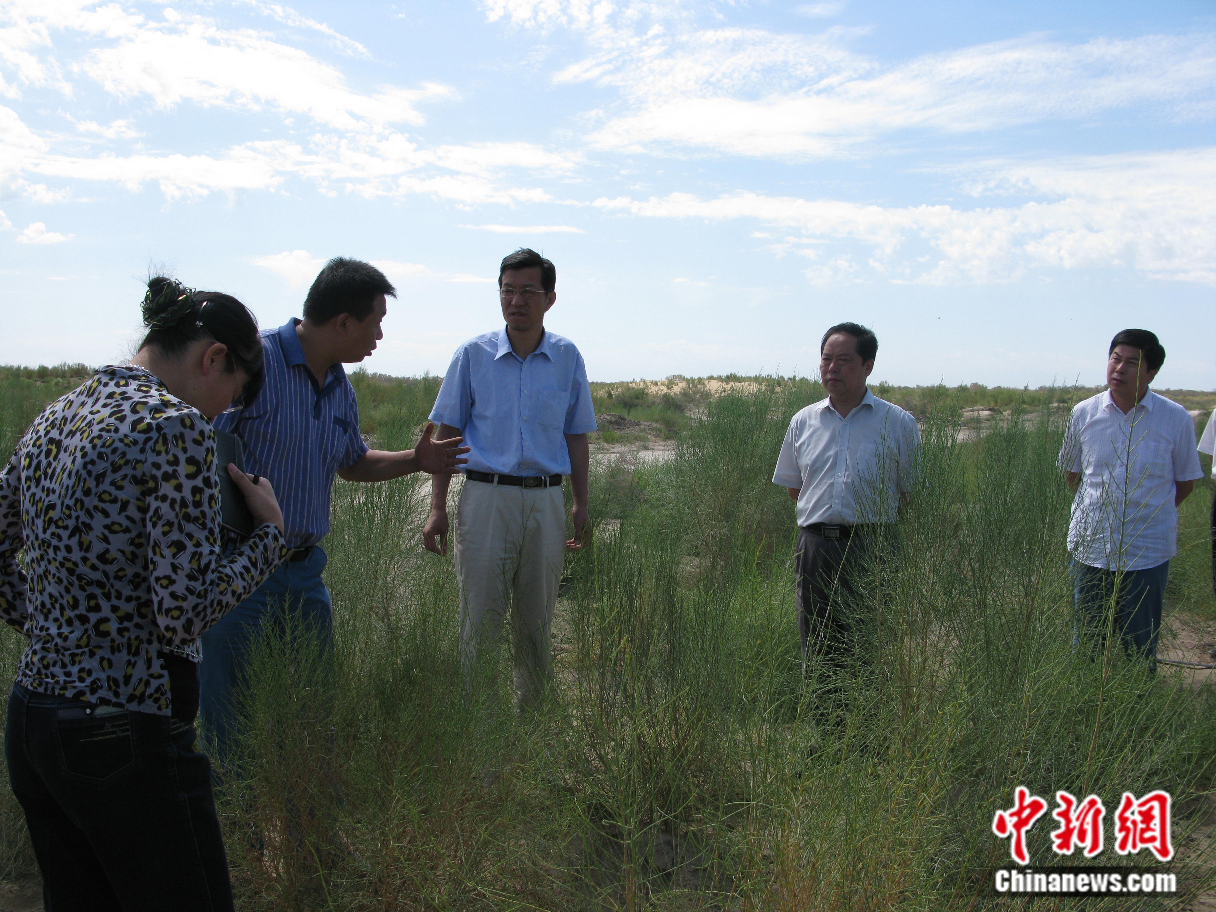 向專家學者介紹準噶爾盆地南緣無灌溉造林技術特點。受訪者供圖