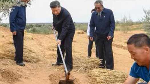 實干篤行｜勞動本色 數(shù)十年未曾改變