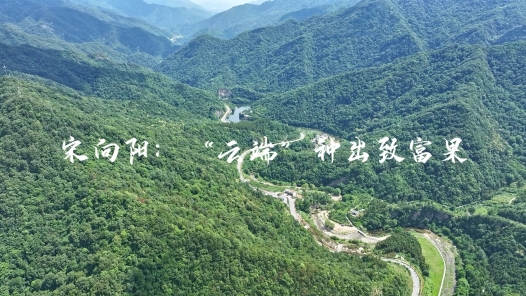 身邊榜樣丨宋向陽：“云端”種出致富果