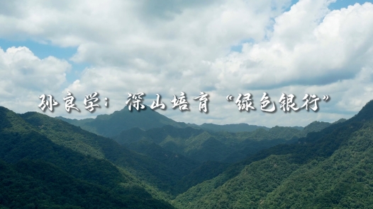 身邊榜樣丨孫良學(xué)：扎根深山培育“綠色銀行”