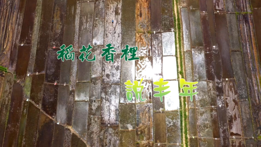 身邊榜樣丨稻花香里說(shuō)豐年