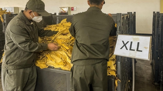 “五小”創新有我在｜標識“上色”，工業分級更精準