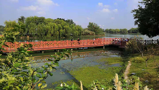 @內蒙古職工 重大福利！每人每天療休養費用最高1000元！