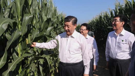 說“聞”解字·手| 一雙手，感受總書記的勞動本色