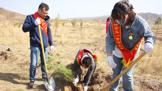 呼和浩特市總工會(huì)組織勞模開(kāi)展義務(wù)植樹(shù)活動(dòng)