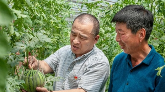 2024年最美職工 | 王慶安：普通話“不及格”的“土”專家