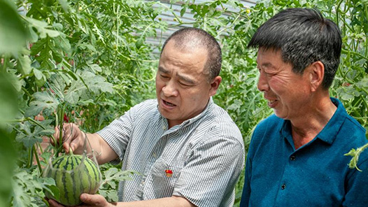 筑夢現代化 共繪新圖景·最美職工｜守護農田的“土”專家