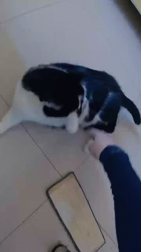 8357afcef561c36fa0239b4071320c9d 拷貝