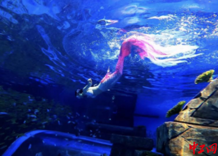 何泇柔在水里暢游。受訪者供圖