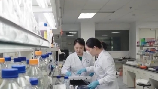 錨定現代化 改革再深化丨打造人才新高地 賦能新質生產力發展