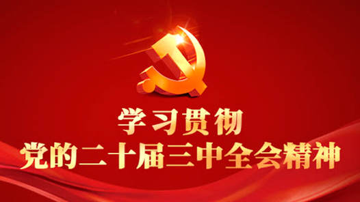 學習貫徹黨的二十屆三中全會精神｜把學習成果轉化為推動工作的強大動能