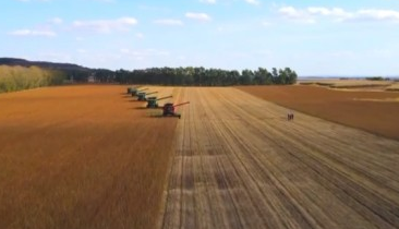 奮進強國路 闊步新征程丨大國糧倉根基穩固