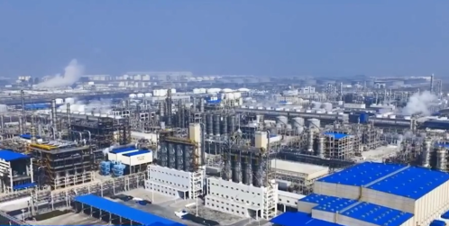 戈壁如何育出“金娃娃”——寧夏中衛市因地制宜發展新質生產力調查