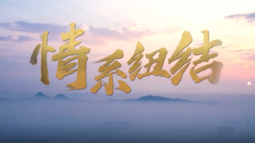 清澈的愛 只為中國｜情系紐結