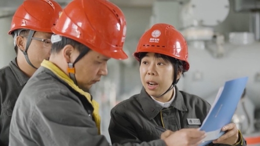 中國(guó)夢(mèng)·大國(guó)工匠篇 | 廖麗萍：守護(hù)萬(wàn)家燈火的“蒲公英”