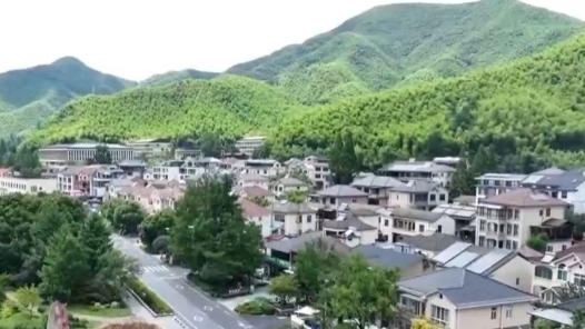 奮進強國路 闊步新征程·老區行｜金寨的“金果子”熟了