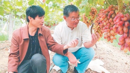 輝煌75載 與共和國同成長的勞動模范 | 趙亞夫：惠農興農“活雷鋒”