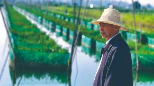 輝煌75載 與共和國同成長的勞動模范 | 陳江啟：網箱養鱔蹚出致富路