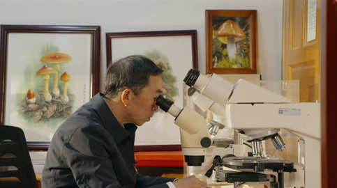 輝煌75載 與共和國同成長的勞動模范 | 楊祝良：了不起的“蘑菇”先生