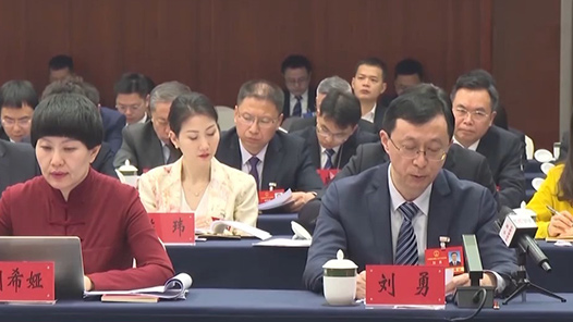 兩會同期聲｜人大代表熱議：加快培育和壯大新質生產力