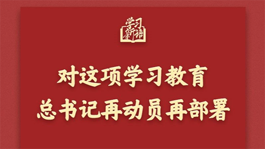 學習新語｜對這項學習教育，總書記再動員再部署