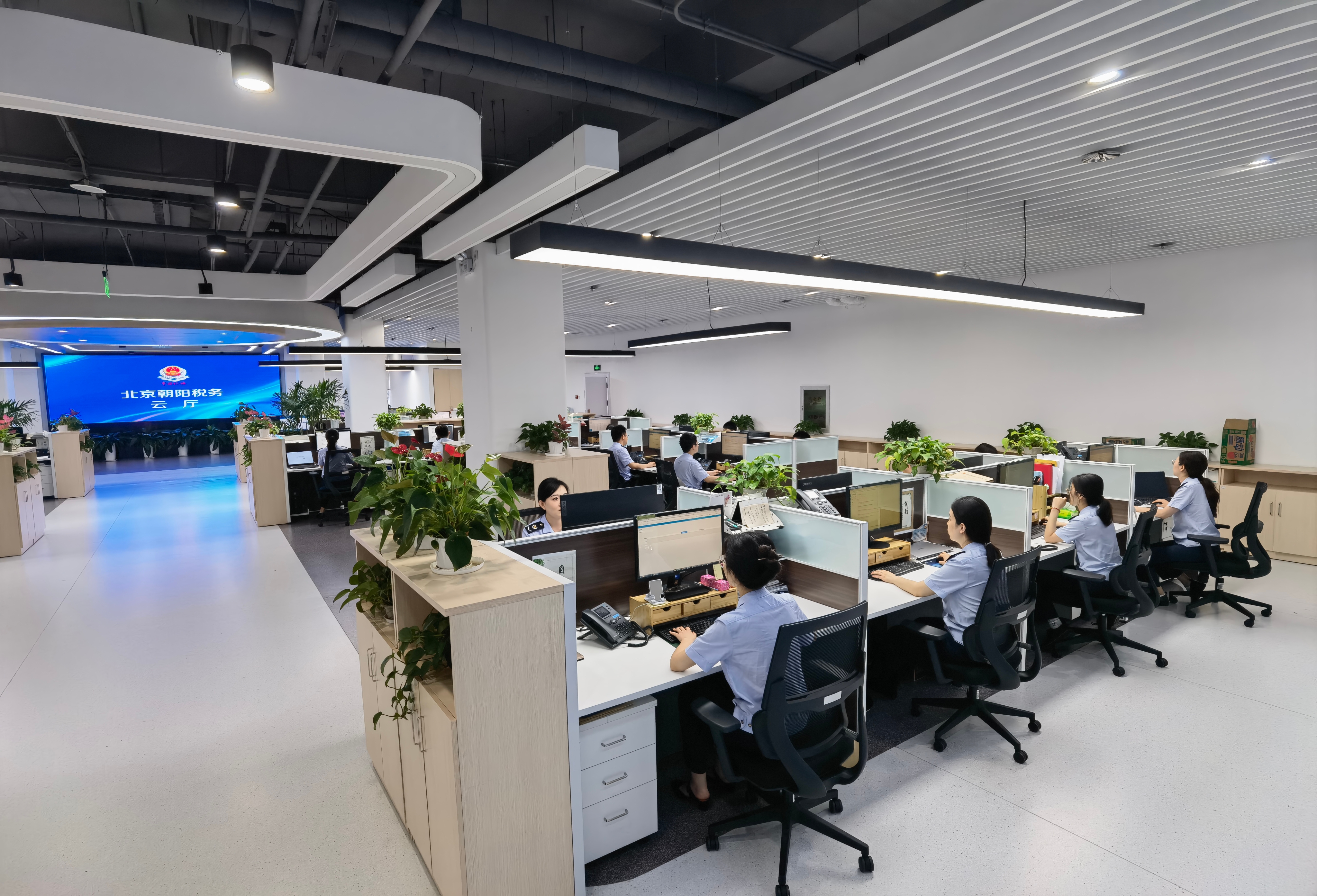 1-北京市首個非接觸式辦稅服務廳-朝陽稅務云廳工作場景