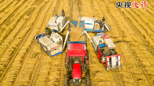 央視快評丨高質量完成“十五五”規劃編制工作