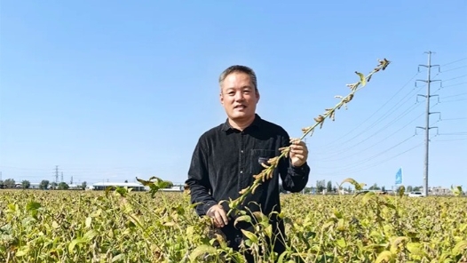 最美職工｜豆莢里的追求與夢想