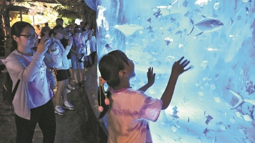 新就業(yè)形態(tài)勞動者子女參加研學(xué)夏令營