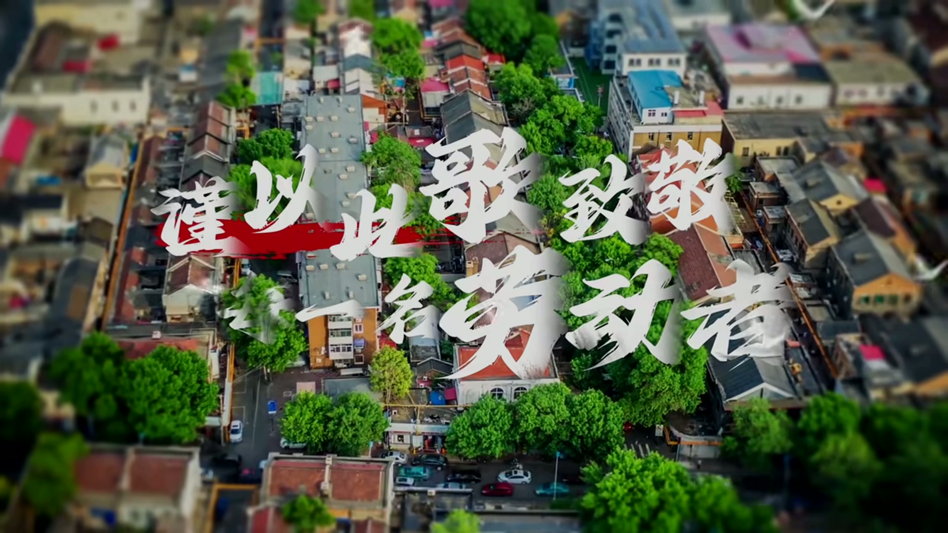 《倔強的飛鳥》 (1)