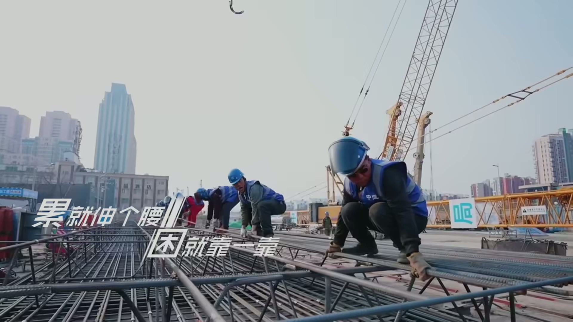 《倔強的飛鳥》 (3)