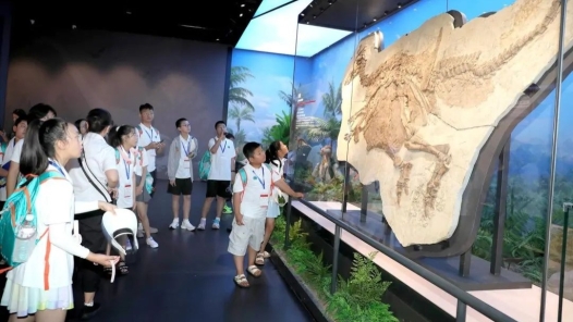 2025年遼寧省工會夏令營在朝陽開營