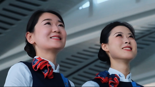 銀翼下的守護(hù)者