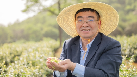 以匠心致初心，讓茶香漫山河