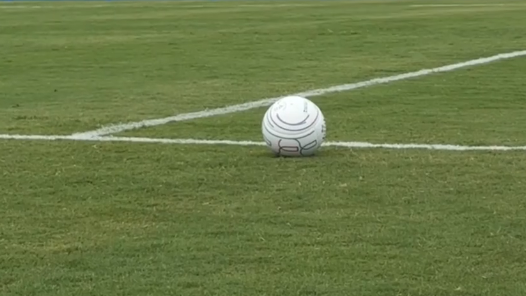 草地驚現(xiàn)“拳頭炮彈”！你見過浮士德球嗎？