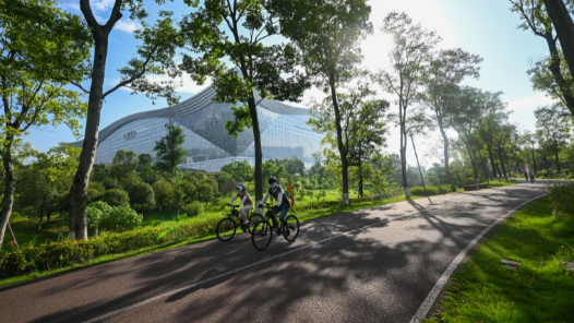 成都世運會丨文化活動異彩紛呈 多元交流展現(xiàn)城市魅力