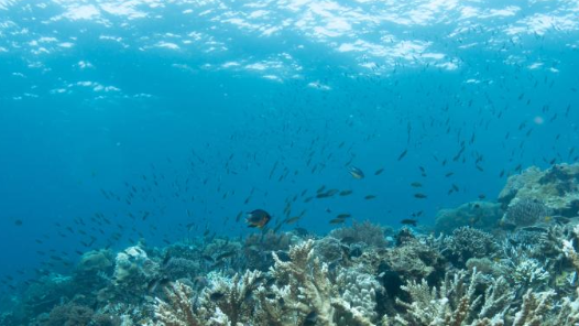 高質量完成“十四五”規劃丨我國海洋生產總值已突破10萬億元