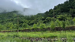 連續報道·報效祖國 建功西部丨用心里的火，點亮夢想的燈