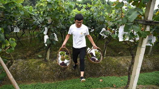 山東計劃培育一批鄉村新產業新業態帶頭人