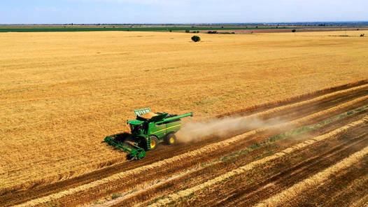 “十四五”時期我國年均糧食收購量在4億噸以上
