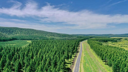 敢作敢為 善作善成——“社會主義是干出來的”系列述評之二